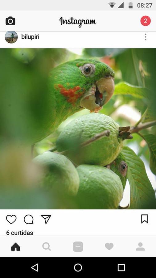 Casa Esmeralda Para Descanso Pirenópolis 外观 照片